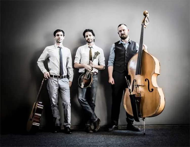 Andrew Collins Trio