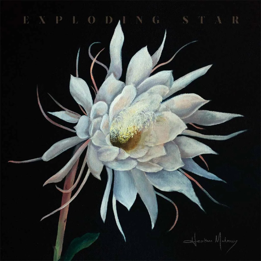 Exploding Star, Heather Maloney (Signature Sounds)